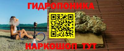 крисы Пугачёв