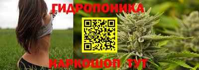 крисы Пугачёв