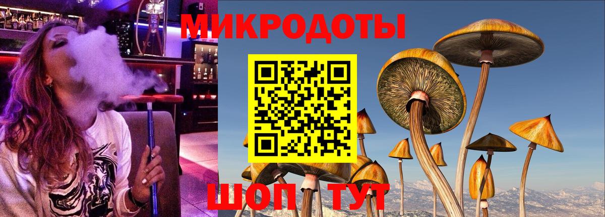 Ростов Великий  Галлюциногенные грибы мицелий  Вход с VPN 